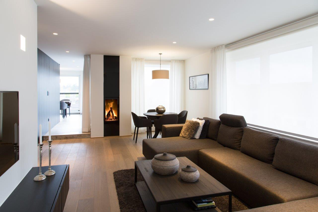 Cheminée à bois Luna Diamond 550V